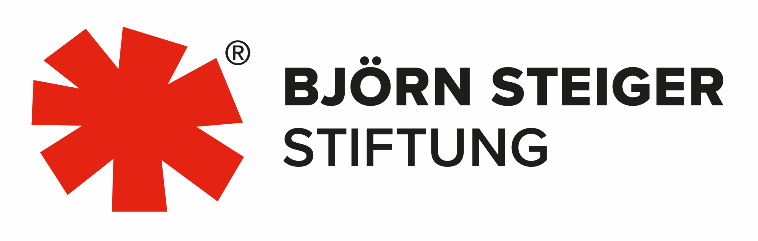 Björn Steiger Stiftung Logo